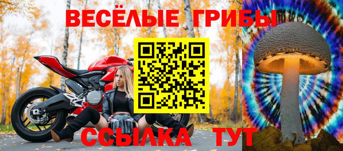 Псилоцибиновые грибы Psilocybine cubensis  Вход с VPN  Клин 